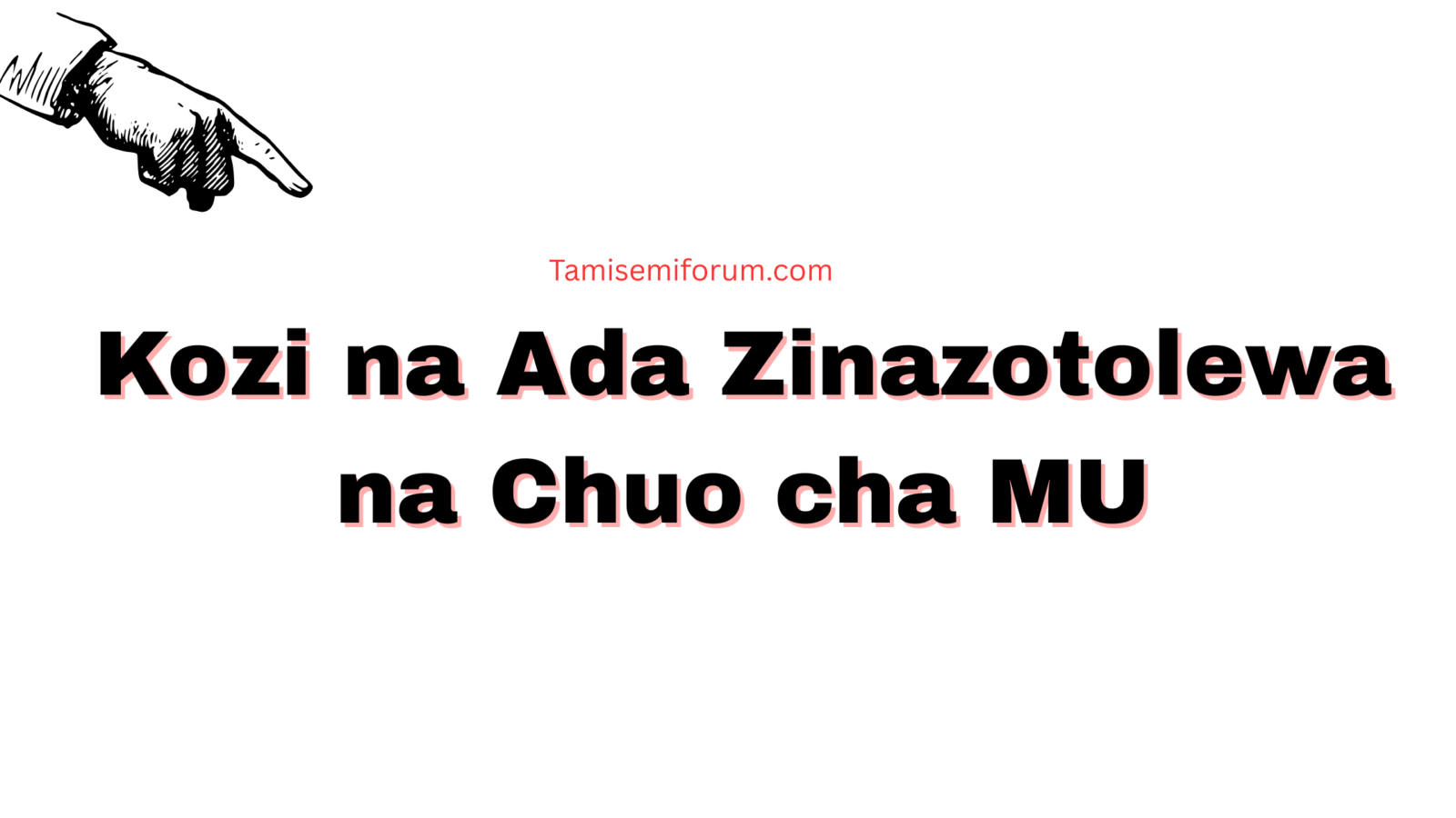 Kozi na Ada Zinazotolewa na Chuo cha Mzumbe University