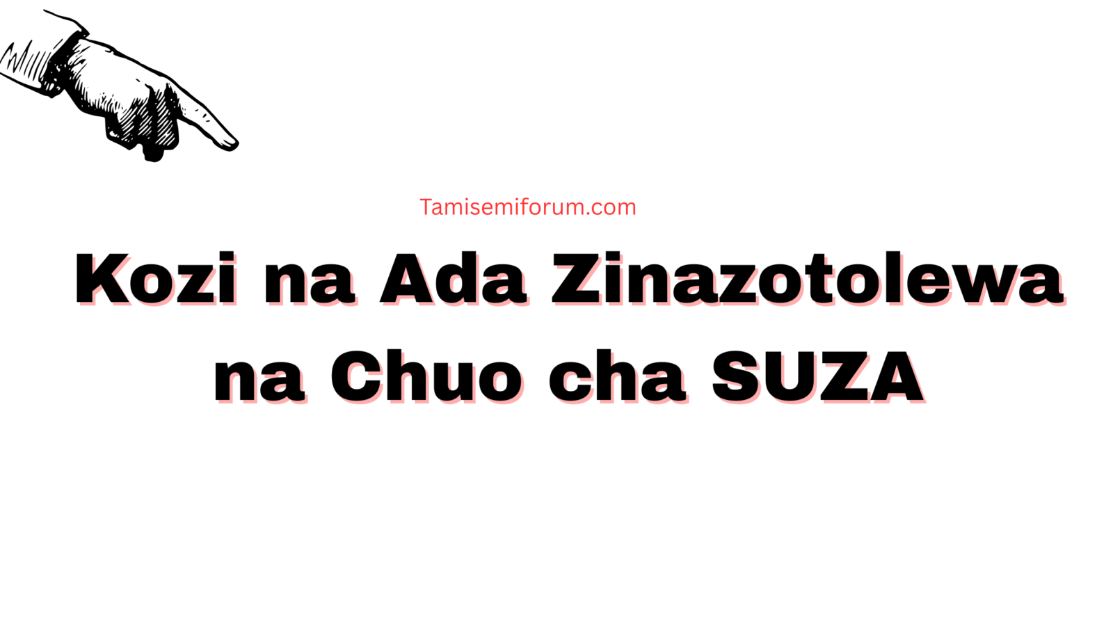 Kozi na Ada Zinazotolewa na Chuo cha State University of Zanzibar