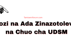 Kozi na Ada Zinazotolewa na Chuo Kikuu cha Dar es Salaam