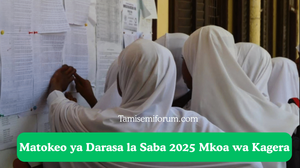matokeo ya darasa la saba 2025 mkoa wa kagera, matokeo ya psle 2025 kagera, matokeo ya necta kagera 2025, shule bora kagera 2025